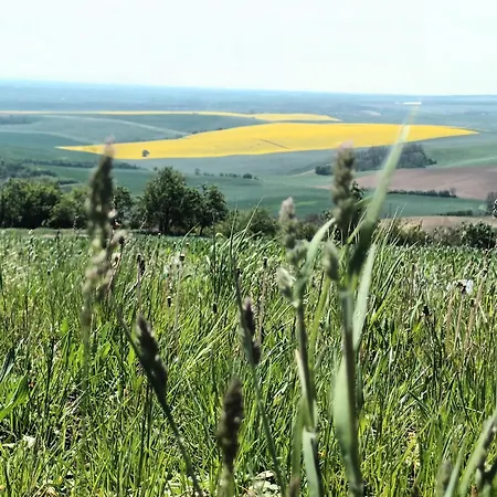 Holiday home Prazdninovy Dum Na Jizni Morave