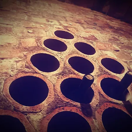 Prazdninovy Dum Na Jizni Morave * Kyjov (Hodonin District)