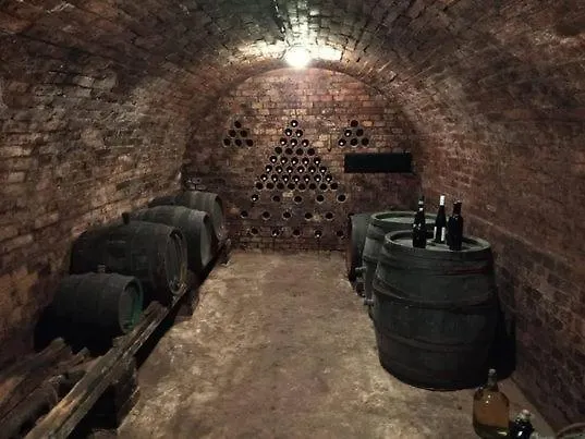 Prazdninovy Dum Na Jizni Morave * Kyjov (Hodonin District)