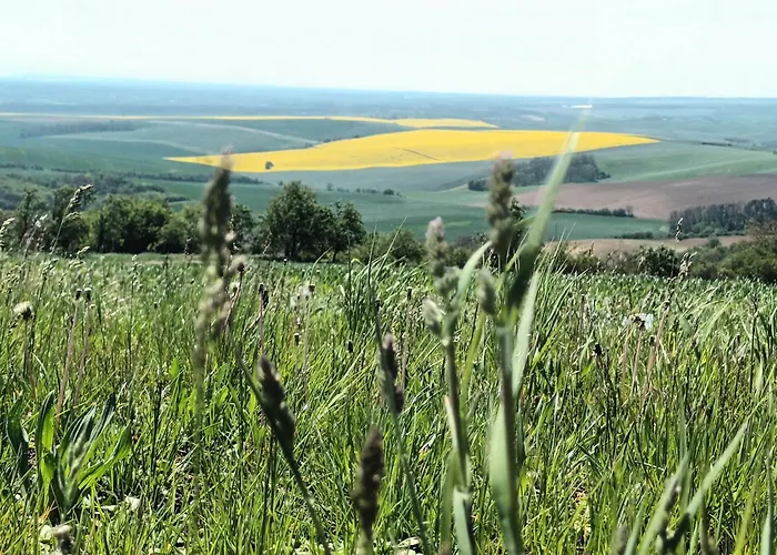 Hébergement de vacances Prazdninovy Dum Na Jizni Morave